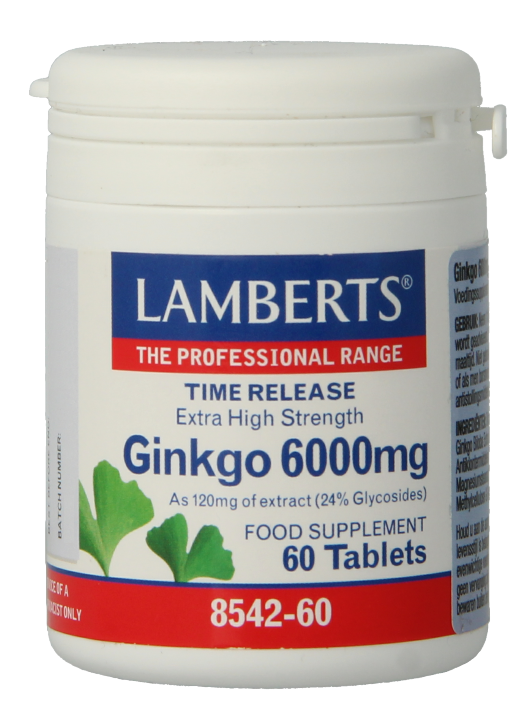 Lamberts Ginkgo 6000mg Time Release Tabletten