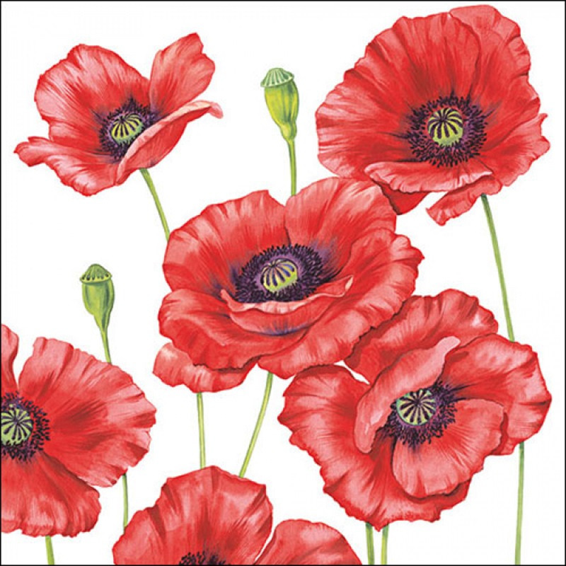 Ambiente Klaprozen/poppy bloemen - 20x stuks - 33 x 33 cm - 3-laags -