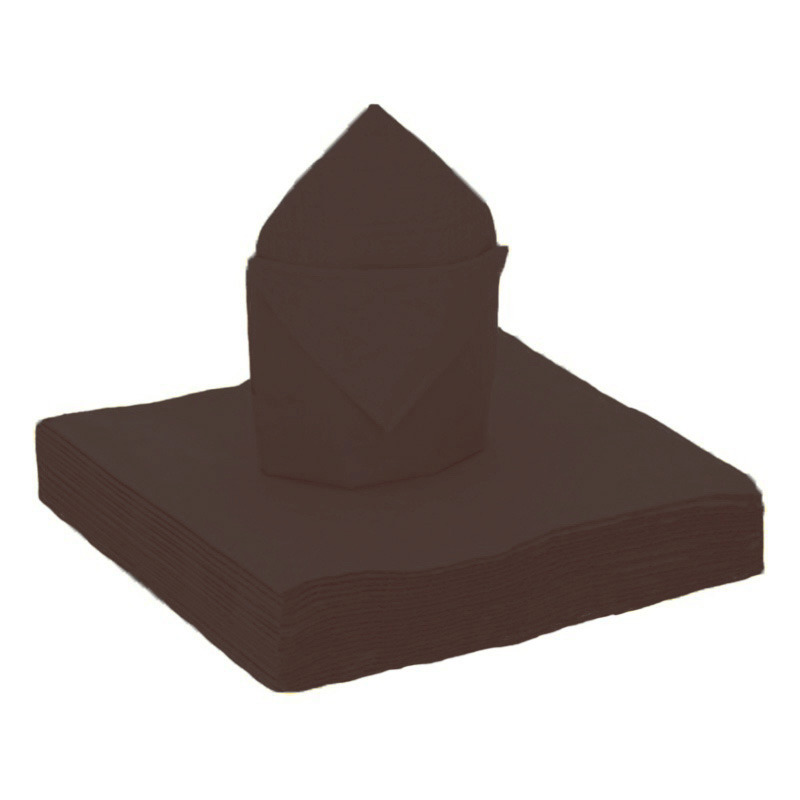 Santex Feestservetten - 20 stuks - zwart - x cm - papier -