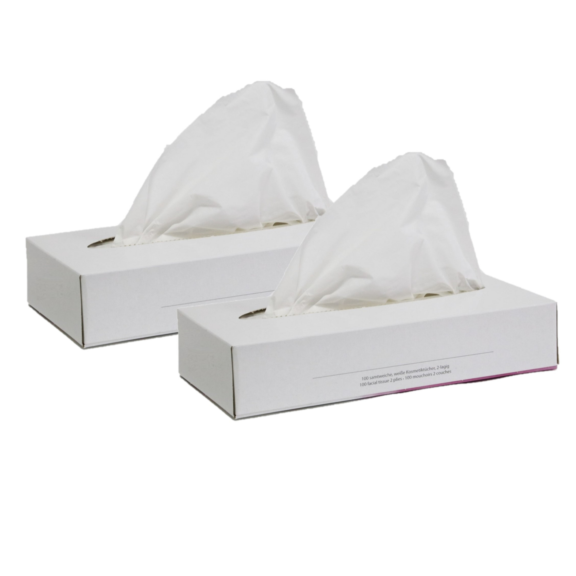 Papstar 2x doosjes met 100x stuks 2-laags papieren tissues -