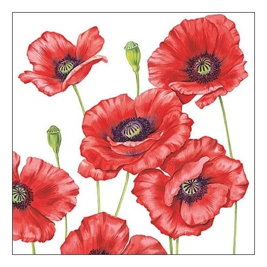 Ambiente Klaprozen/poppy bloemen - 40x stuks - 33 x 33 cm - 3-laags -