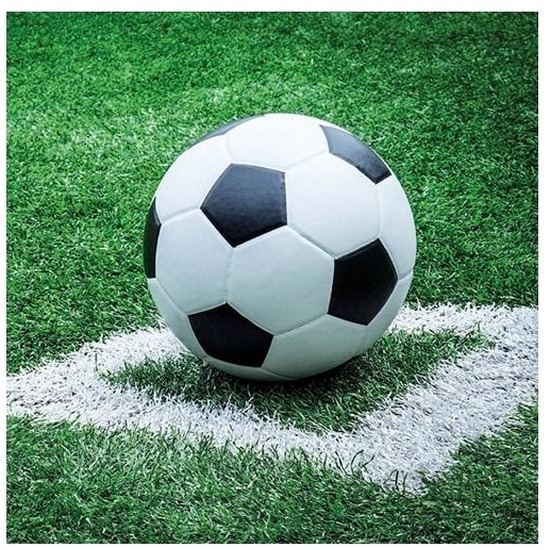 Ambiente Voetbal thema servetten - 40x - 33 x 33 cm - 3-laags papier - feestservetten -