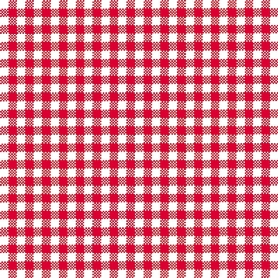 Ambiente Servetten - ruitjes rood/wit - 40x st - 33 x 33 cm - 3-laags - party bbq servetten -
