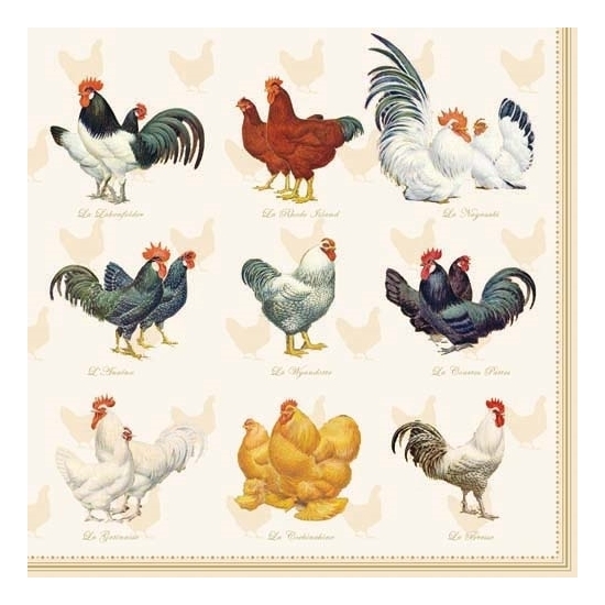 Ambiente Servetten kippen en hanen - 40x st - 33 x 33 cm - Pasen thema - lunch/diner servetjes - Paas -
