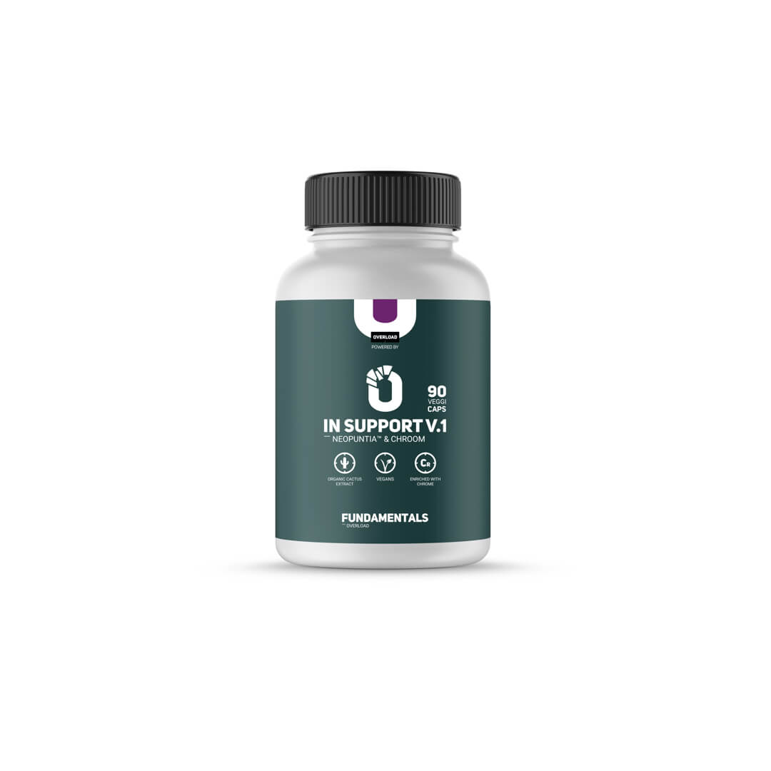 Fundamentals by Overload Worldwide Neopuntia & Chroom