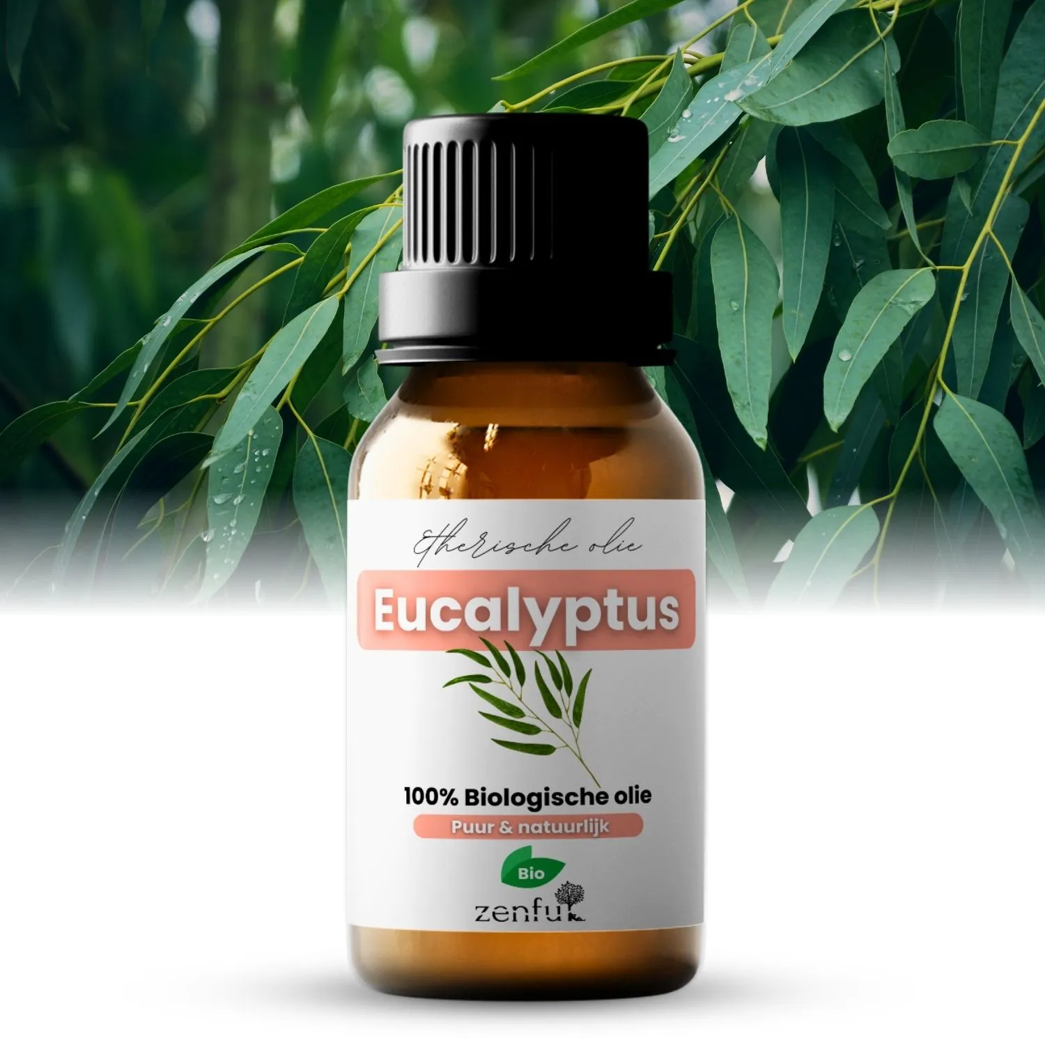 Zenful Eucalyptus olie biologisch 5 ml