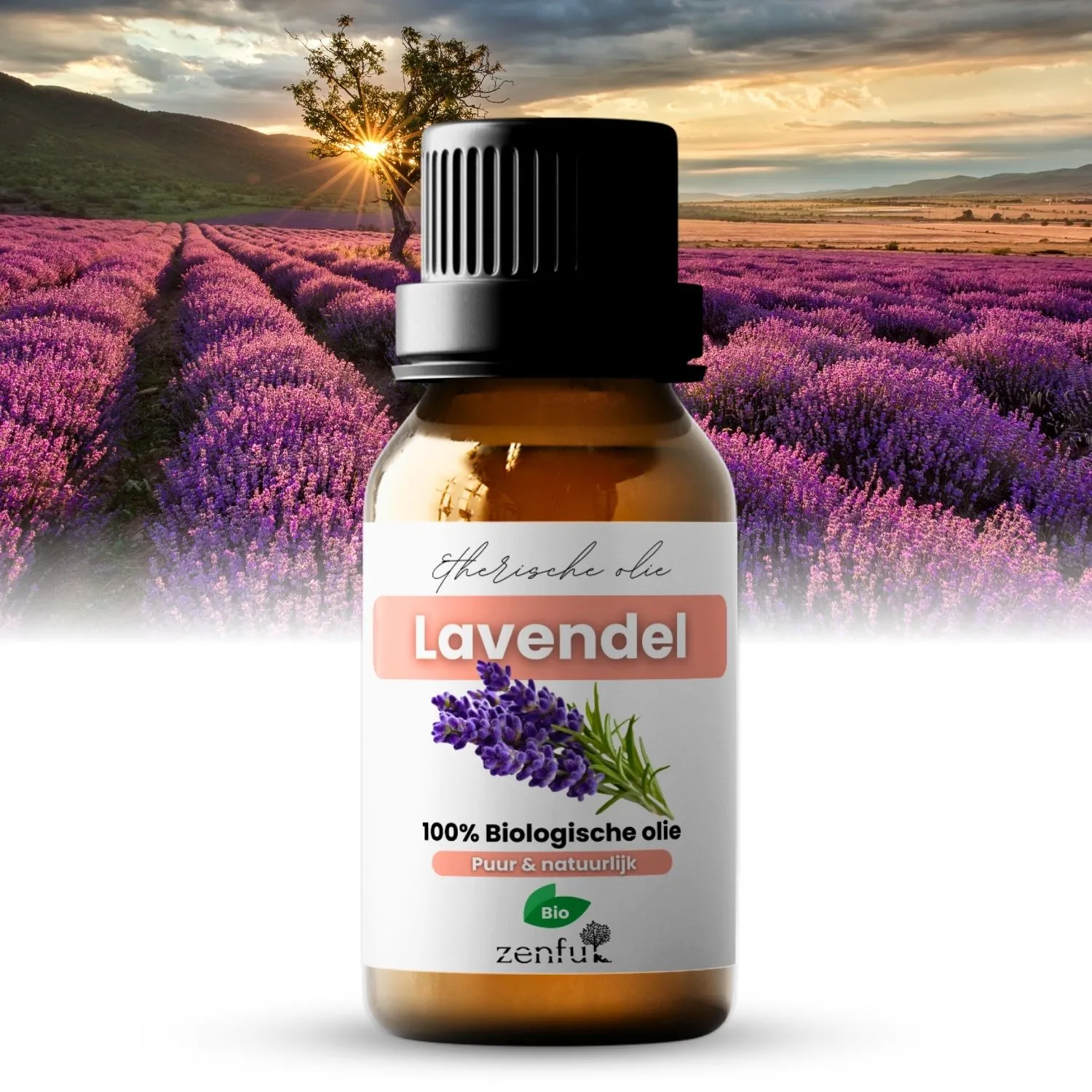 Zenful Lavendel echte Bulgarije etherische olie biologisch 5 ml