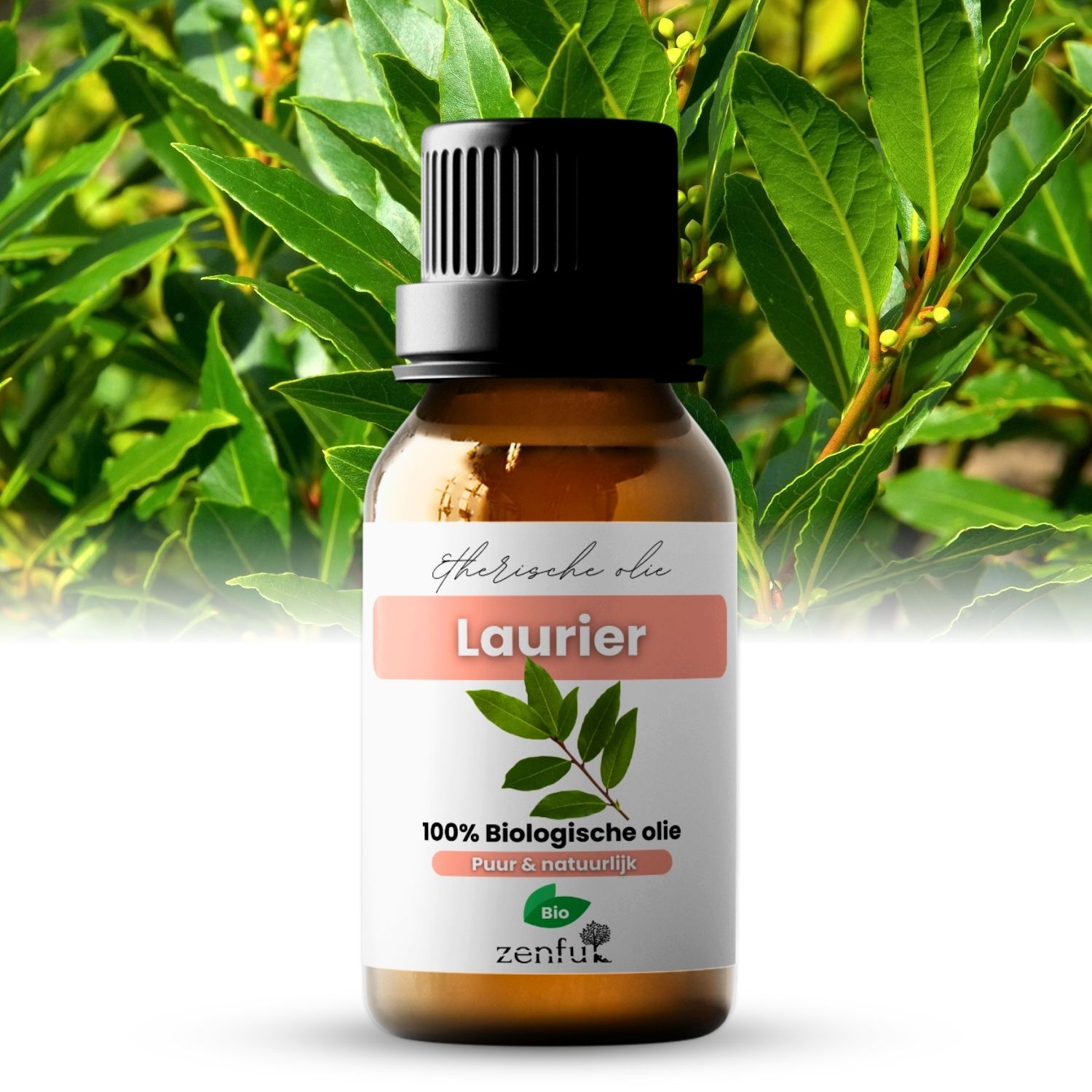 Zenful Laurierolie etherische olie biologisch 5 ml