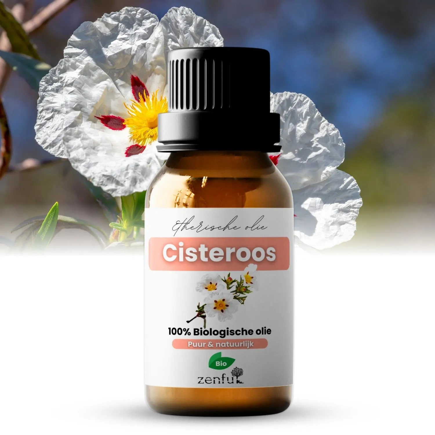 Zenful Cisteroos (Zonneroos) etherische olie biologisch 5 ml
