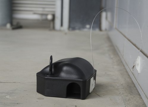 AllesTegenOngedierte.nl Voerdoos anker 35 CM