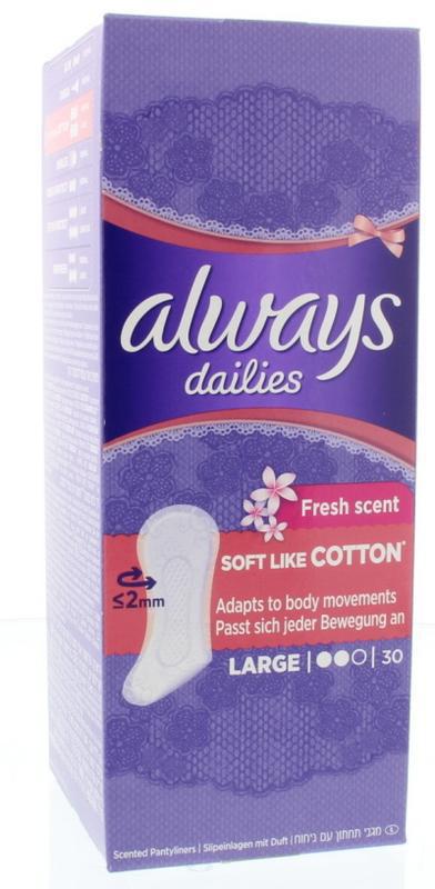 Always Dailies large 30st