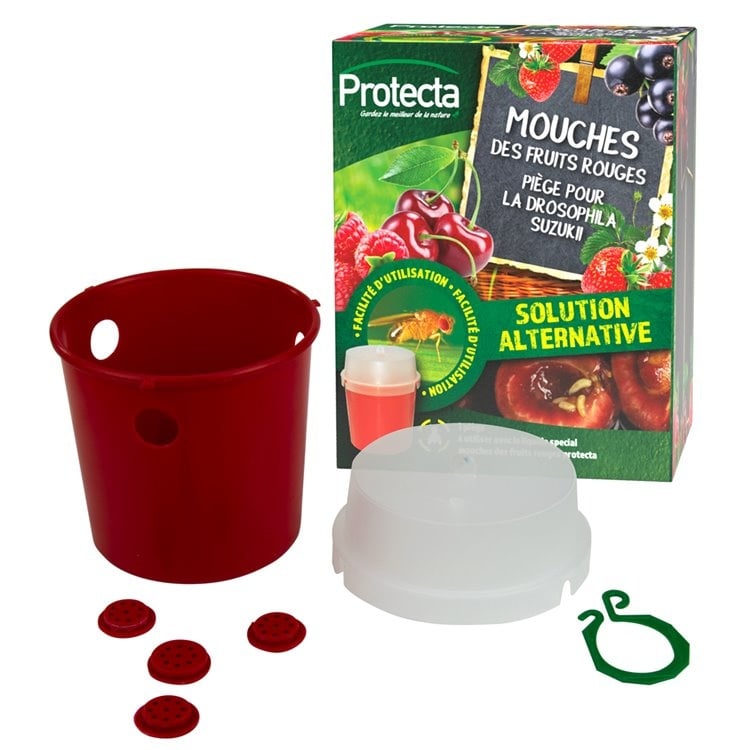 Protecta Aziatische fruitvliegenval + lokstof Standaard
