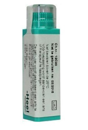 Homeoden Heel Magnesium phosphoricum d6 1g