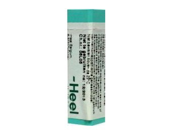 Homeoden Heel Lycopodium clavatum d12 1g