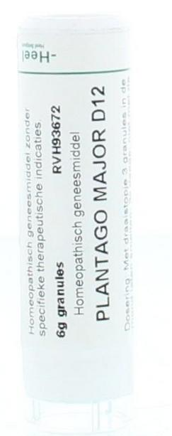 Homeoden Heel Plantago major d12 6g