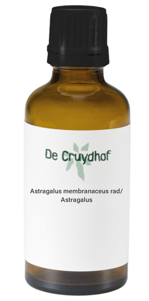 Cruydhof Astragalus Membranaceus/Astragalus Druppels