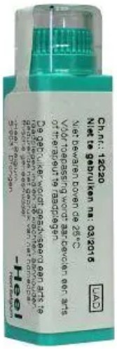 Homeoden Heel Asa foetida 30ch 4g