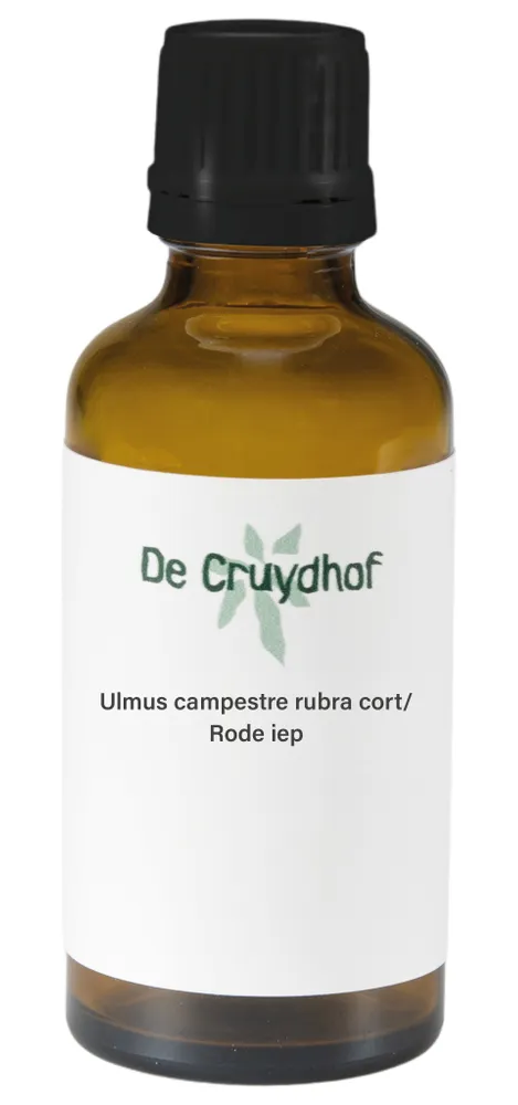 Cruydhof Ulmus Campestre Rubra Cort/Rode Iep Druppels