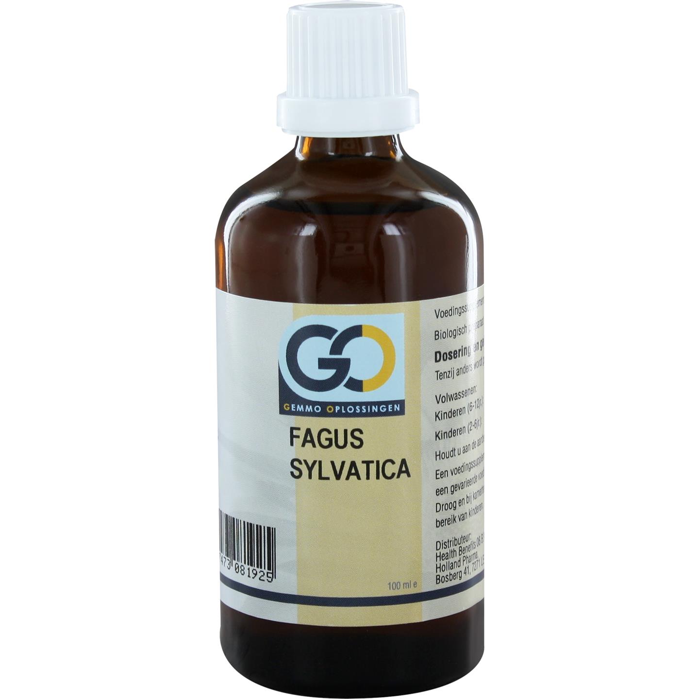 GO Fagus sylvatica BIO