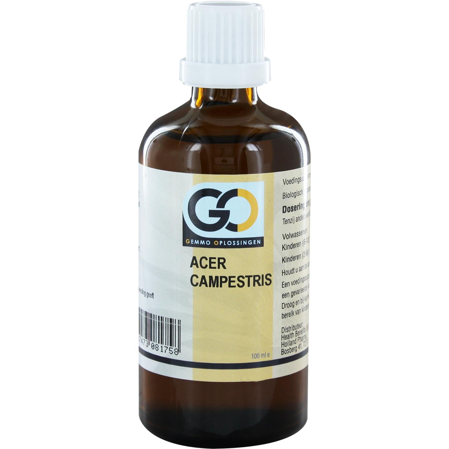 GO Acer campestris BIO