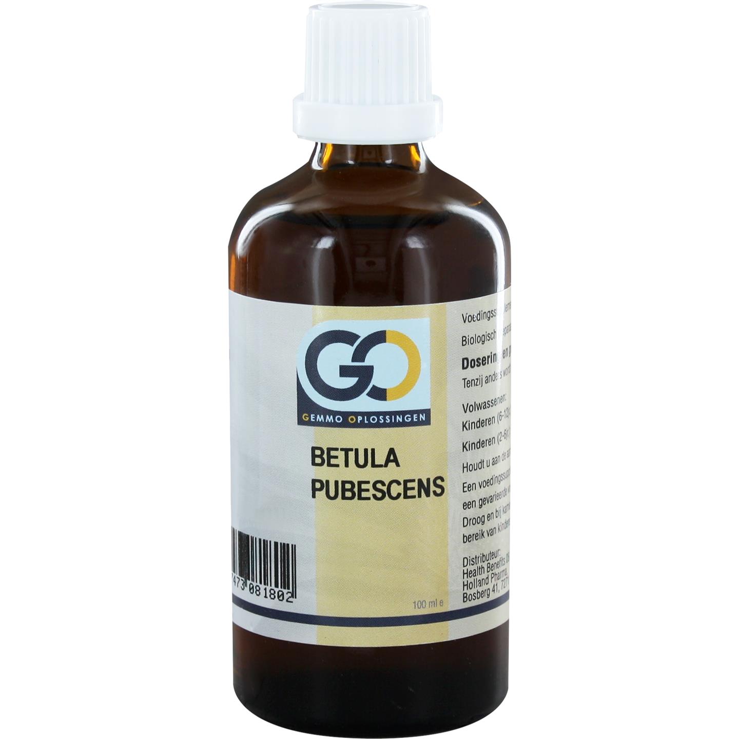 GO Betula pubescens BIO