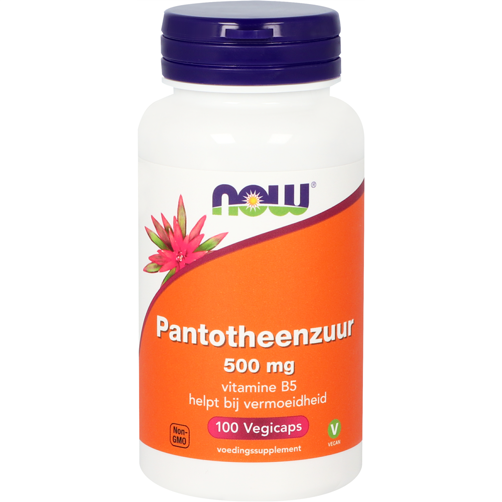 NOW Pantotheenzuur 500 mg capsules