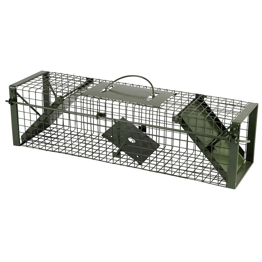 AllesTegenOngedierte.nl Groene ratten / wezel vangkooi
