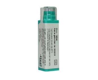 Homeoden Heel Echinacea purpurea d6 4g