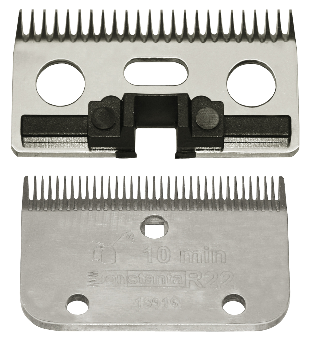 Kerbl Constanta Rodeo R22 0.5mm 35/24tands