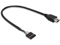 DeLOCK USB 2.0 pin header > mini USB, 30cm