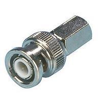 BNC Connector - 