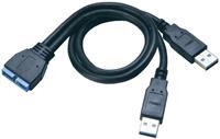 Akasa USB 3.0 Y-kabel [2x USB 3.0 stekker A - 1x USB 3.0 bus intern 19-polig] 0.30 m Zwart Vergulde steekcontacten, UL gecertificeerd