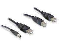 DeLOCK Kabelset 2fach USB Typ A - DC + USB Typ B 30cm (82461)