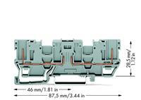 WAGO 769-161 Basisklem 5 mm Spanveer Toewijzing: L Grijs 50 stuk(s)