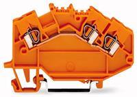 WAGO 780-654 Doorgangsklem 5 mm Spanveer Oranje 50 stuk(s)