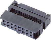 BKL Electronic Pfosten-Steckverbinder mit Zugentlastung Rastermaß: 2.54mm Polzahl Gesamt: 10 Anzahl