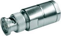 Telegärtner J01000A1940 BNC-connector Stekker, recht 50 Ώ 1 stuks