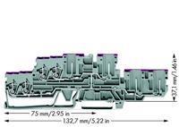 WAGO 870-138 Doorgangsklem 2-etages 5 mm Veerklem Toewijzing: L Grijs 40 stuk(s)