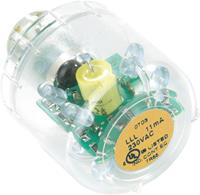 Auer Signalgeräte LLL Signaalgever lamp LED Oranje Continu licht Geschikt voor serie (signaaltechniek) Signaalzuil modulSIGNAL50