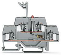 Wago Doppelstock-LED-Klemme 6mm Zugfeder Belegung: L Grau 50St.