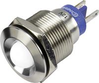 Conradcomponents Conrad Components GQ19B-D/W/12V/S LED-signaallamp Wit 12 V 15 mA