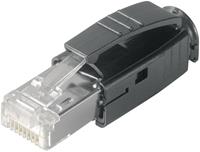 Telegärtner J80026A0001 (10 Stück) - Modular plug J80026A0001