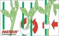 Fastech 701-322-Bag Klittenband voor planten en tuin Haak- en lusdeel (l x b) 5000 mm x 10 mm Groen 1 rollen