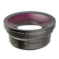 Raynox DCR 732 Wide Angle Conversion Lens (0.7x)