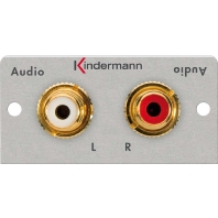 Kindermann - 2 RCA (audio l/r) soldeer module-50 x 50 mm