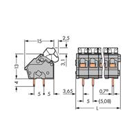 WAGO 256-406/334-000 Veerkrachtklemblok 2.50 mm² Aantal polen 6 Grijs 140 stuk(s)