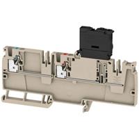 Verdeler-serieklem Weidmüller AAP22 4 LI-FS 10-36V 2459010000 Beige 50 stuk(s)