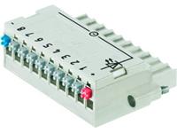 Weidmüller Buchsengehäuse-Kabel BL/SL Polzahl Gesamt 10 20St.