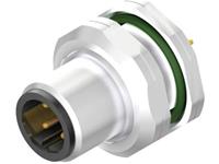 Weidmüller 2421700000 Sensor/actuator steekconnector M12 Aantal polen: 4 Stekker, inbouw verticaal 10 stuk(s)