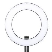 Falconeyes LED Ring Lamp Dimbaar DVR-384DVC op 230V